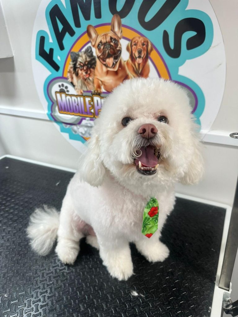 famousmobilepetgrooming gallery web 14