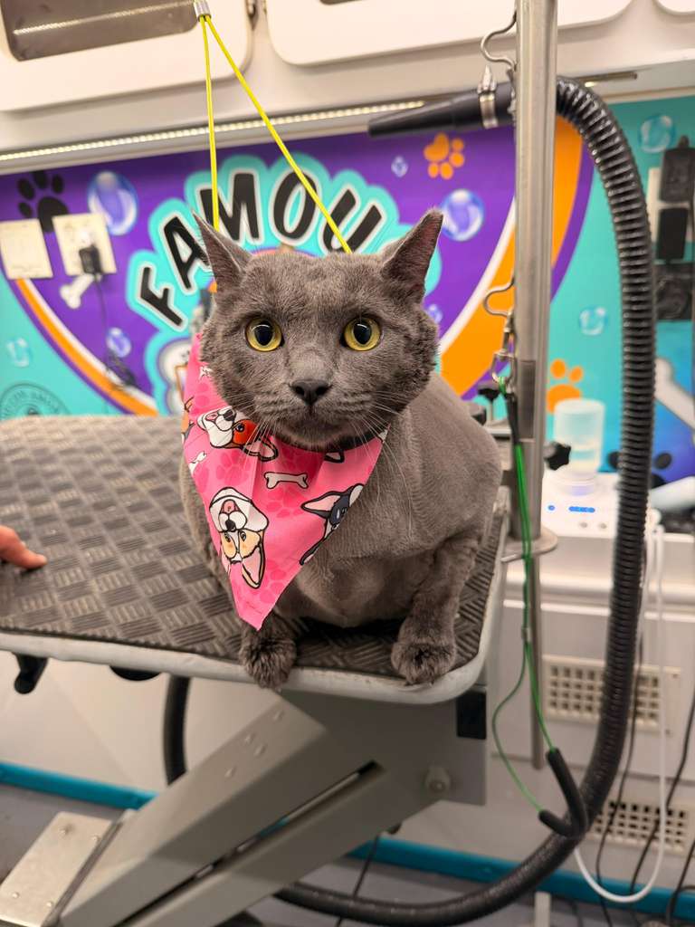 WhatsApp Image 2026-01-29 at 23.08.09