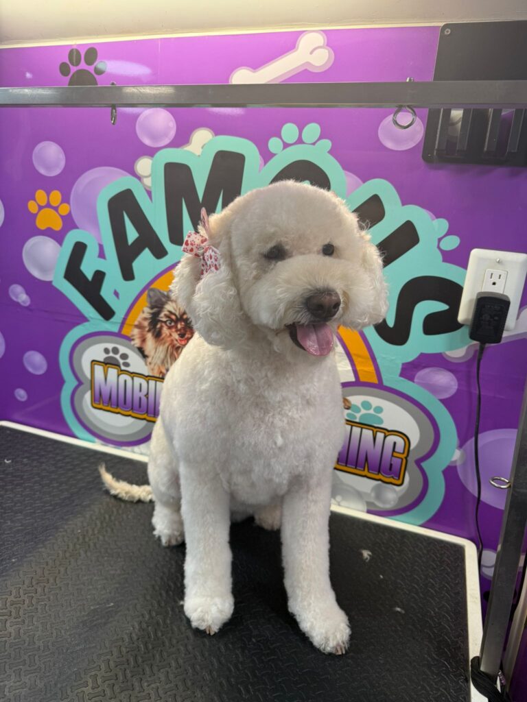 WhatsApp Image 2026-01-29 at 23.08.10 (1)