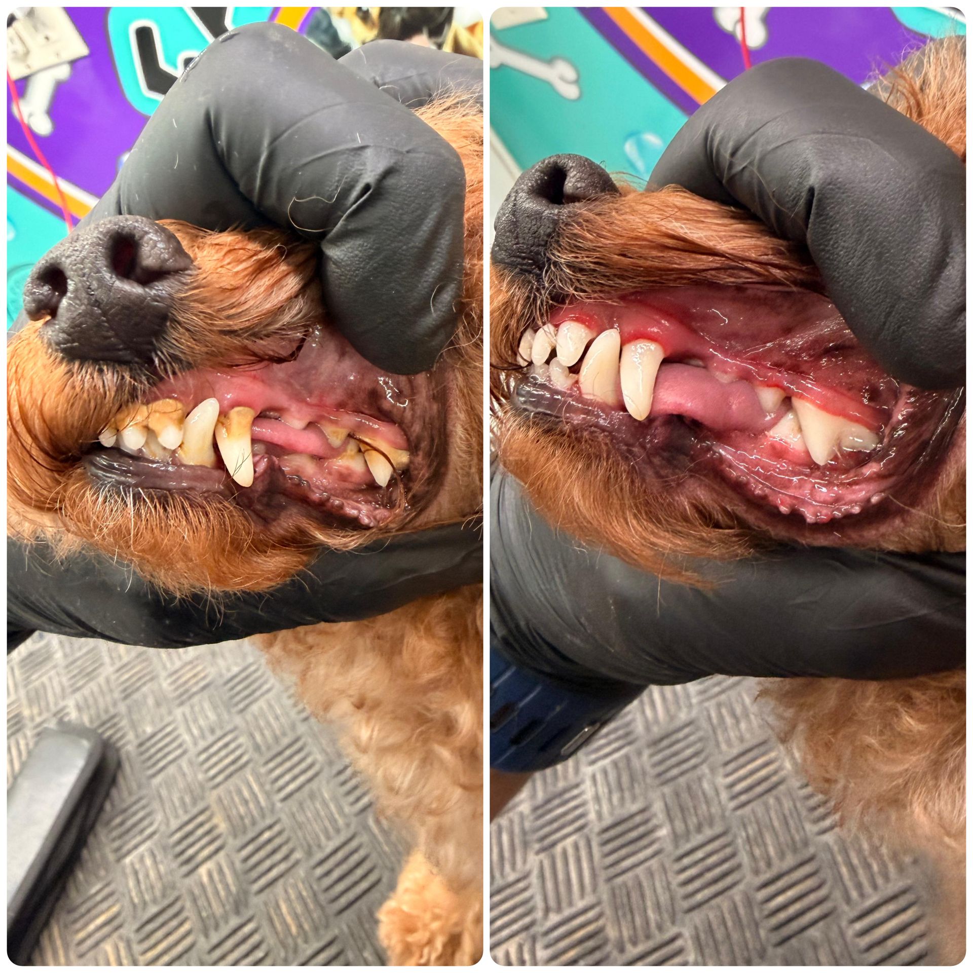 WhatsApp Image 2026-01-29 at 23.13.23